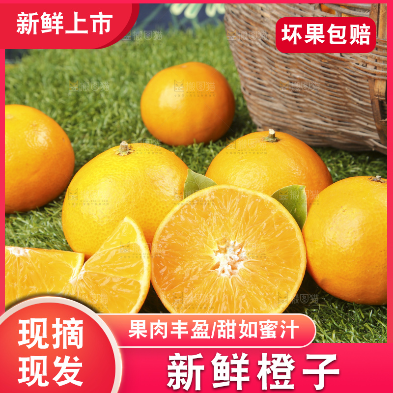 草地上的果冻橙