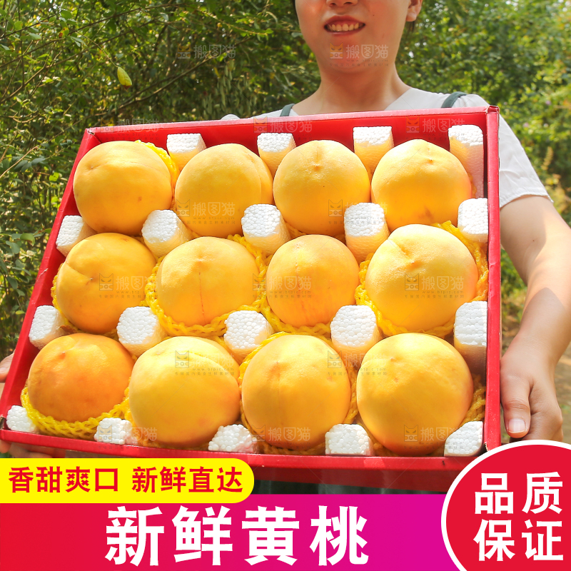 手里拿着炎陵黄桃