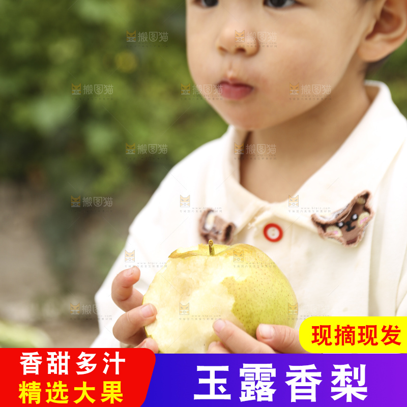 手里拿着玉露香梨