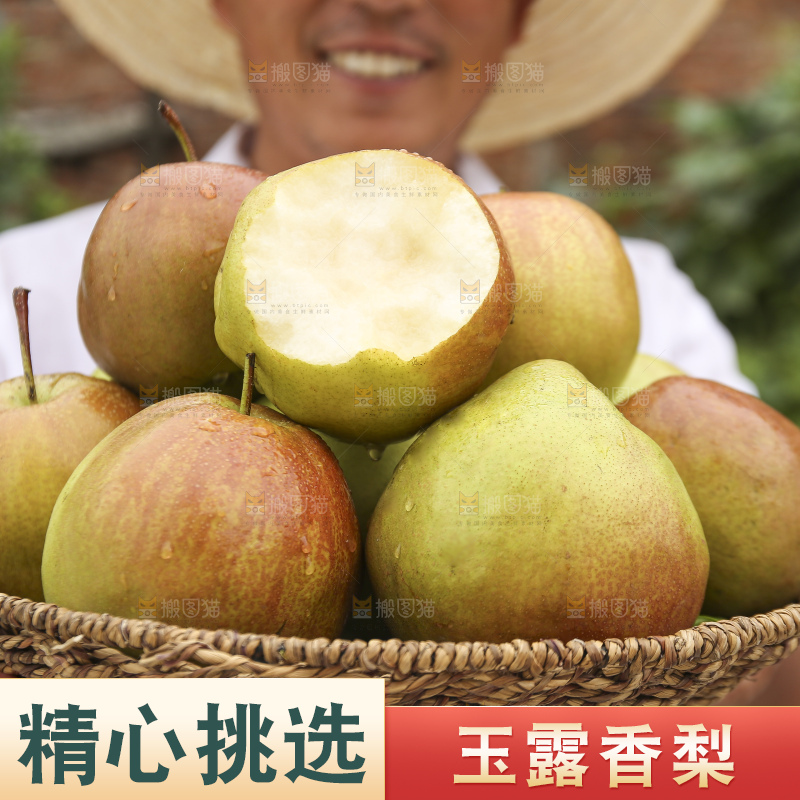 手里拿着玉露香梨