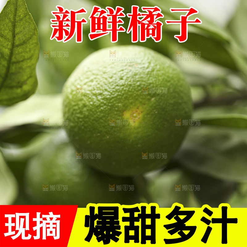 户外的青橘
