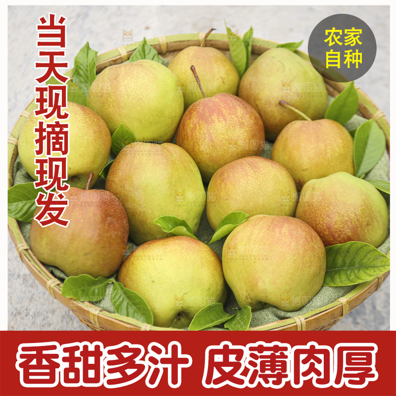 深底上的玉露香梨