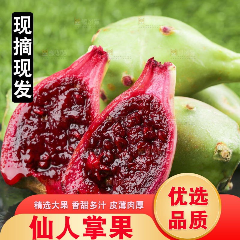 黑石板上放着仙人掌果