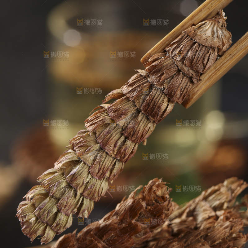 木底上的夏枯草