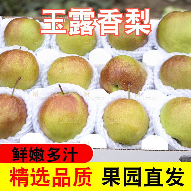 深底上的玉露香梨