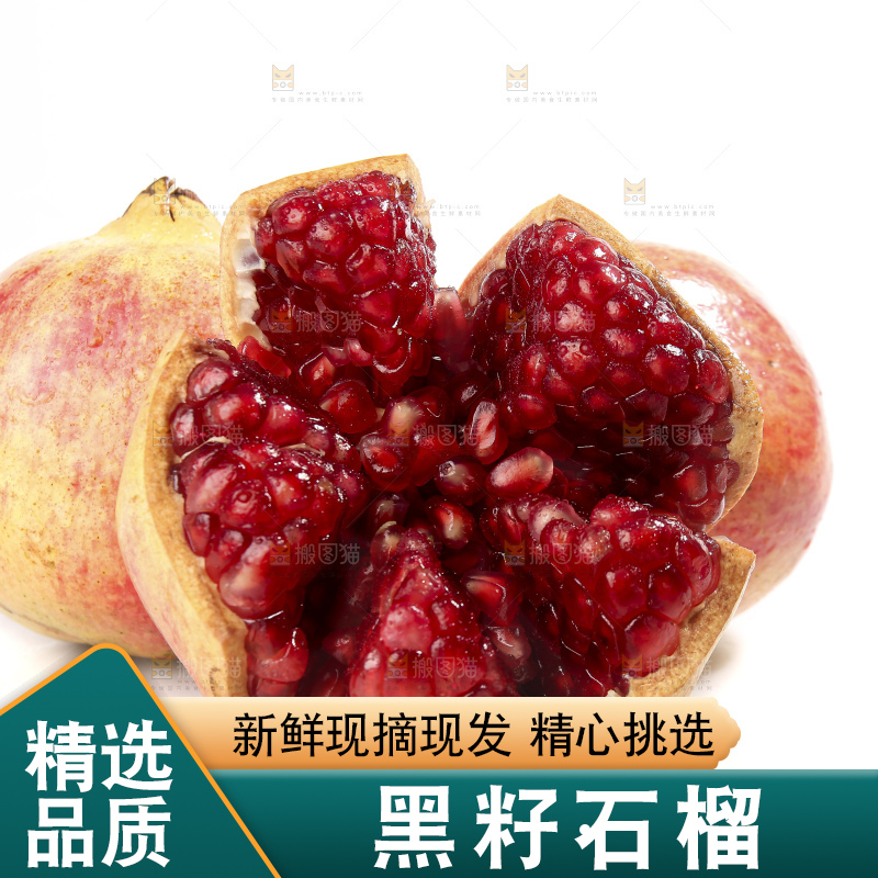 白底上的突尼斯软籽石榴