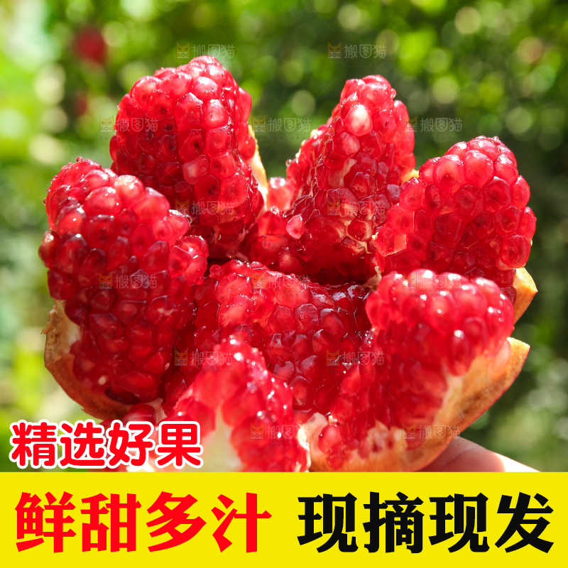 石榴产地