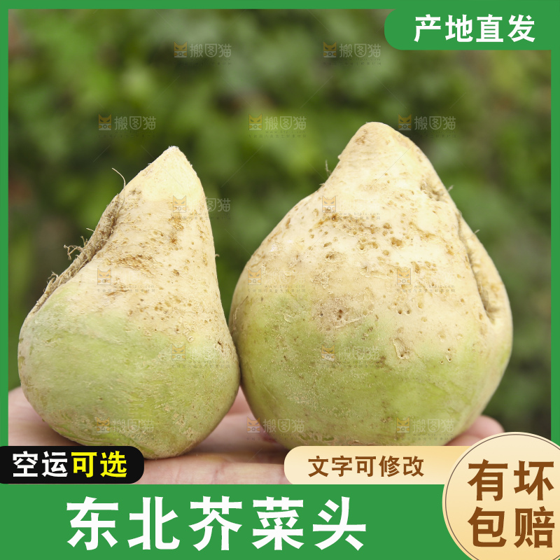 手里拿着大头芥菜
