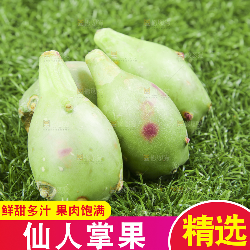 海南仙人掌果放在草地上