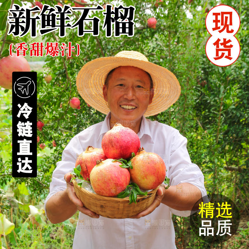 石榴产地