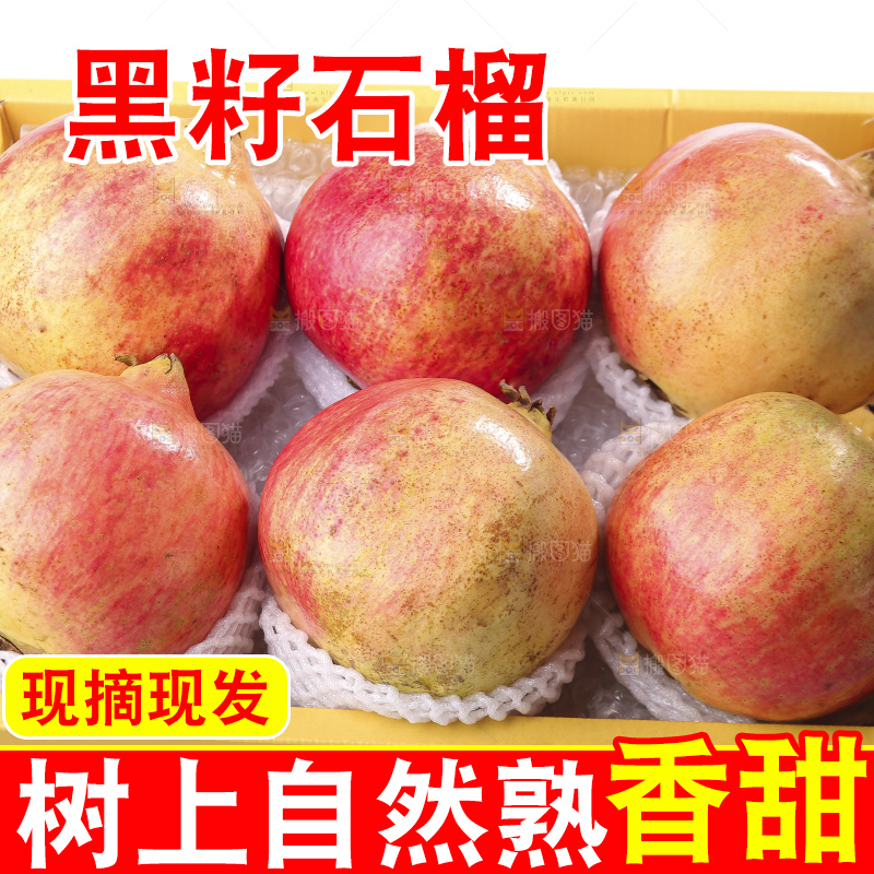 白底上的突尼斯软籽石榴