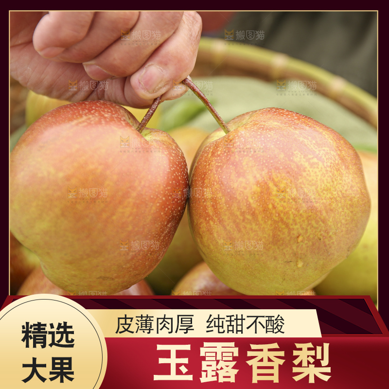 手里拿着玉露香梨