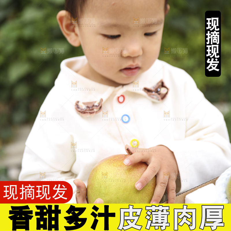 手里拿着玉露香梨