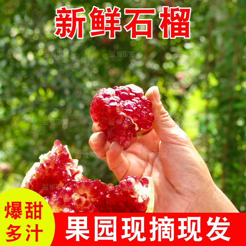石榴产地