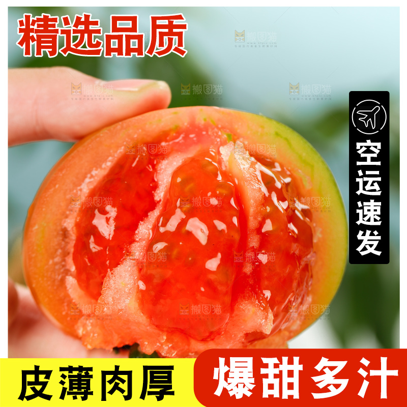浅底上的铁皮西红柿