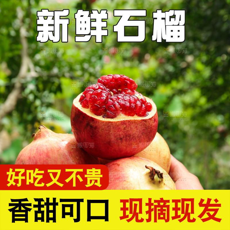 石榴产地
