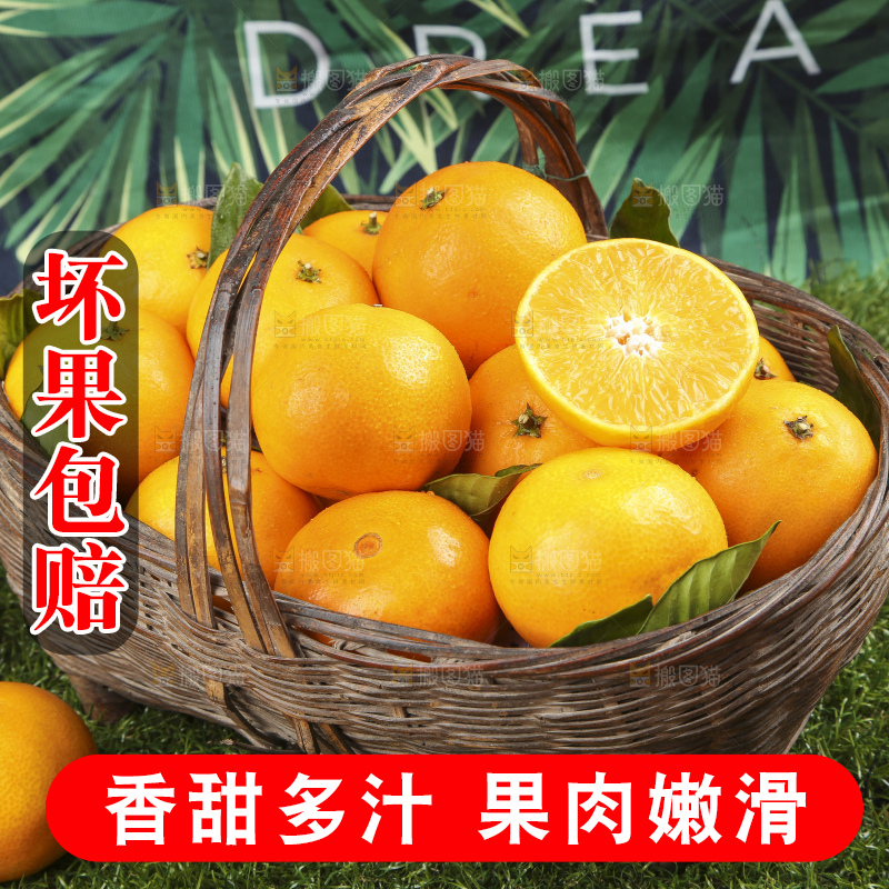 草地上的果冻橙