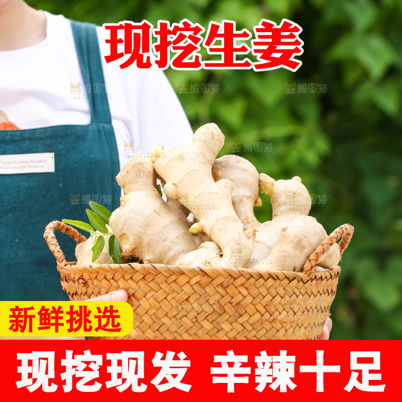 手里拿着生姜