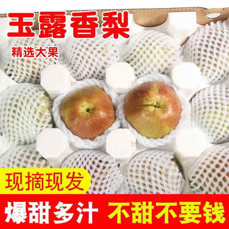 白底上的玉露香梨