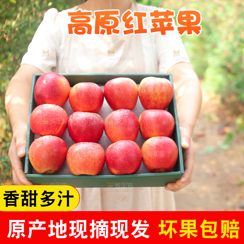手里拿着高原红苹果