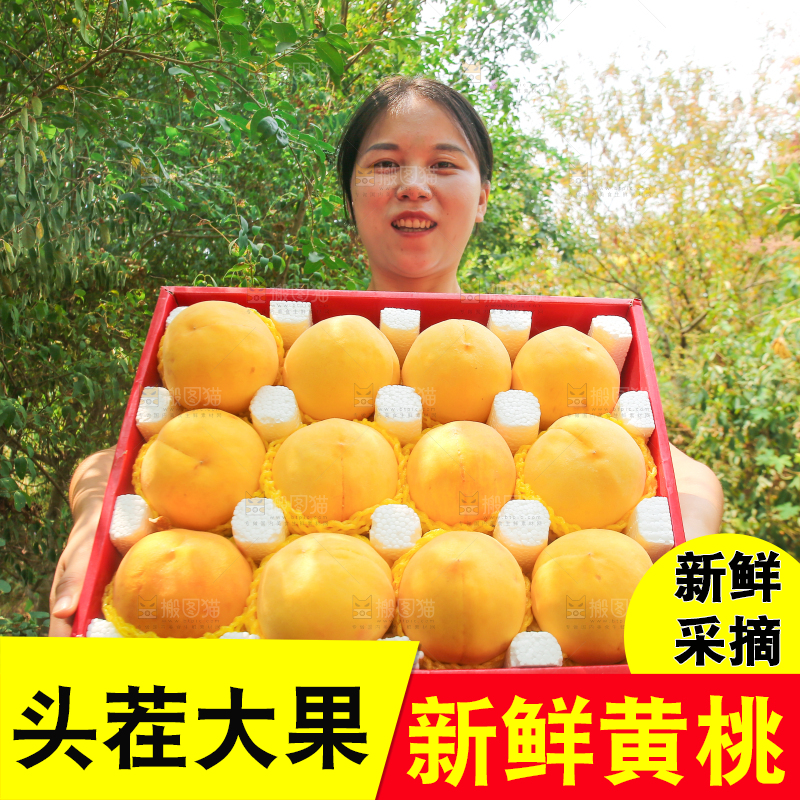 手里拿着炎陵黄桃