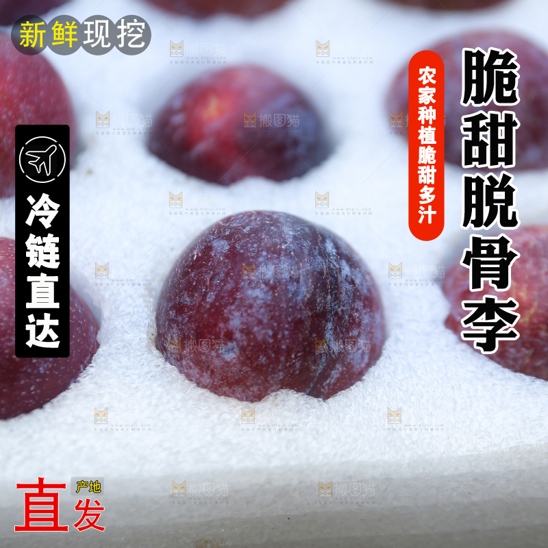 木底上放着红脱骨李
