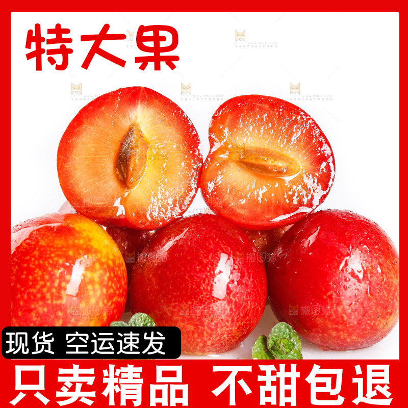 白底上的樱桃李