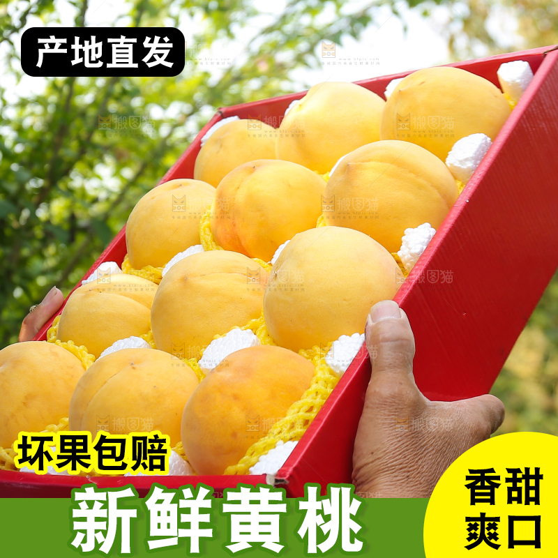 手里拿着炎陵黄桃