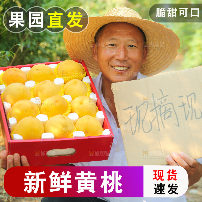 手里拿着炎陵黄桃