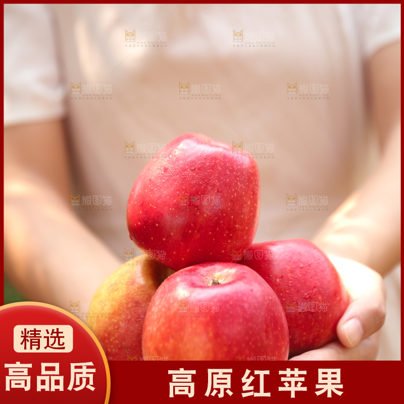 手里拿着高原红苹果