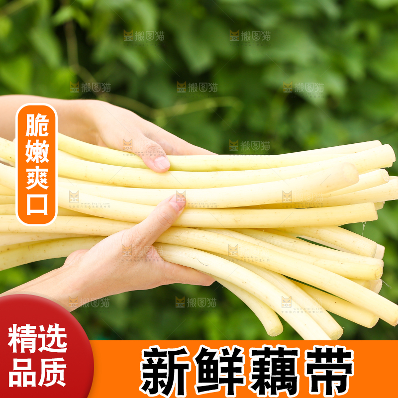 手里拿着藕带