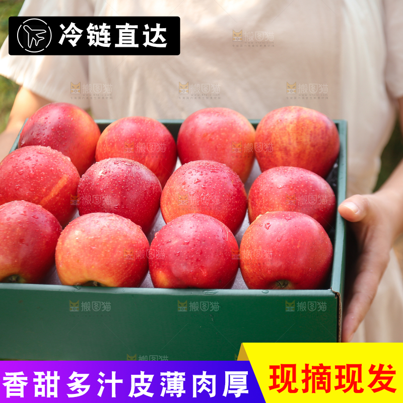 手里拿着高原红苹果