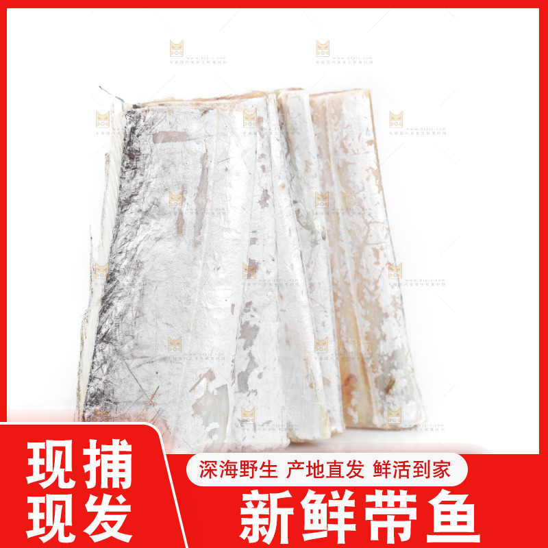 白底上的带鱼段