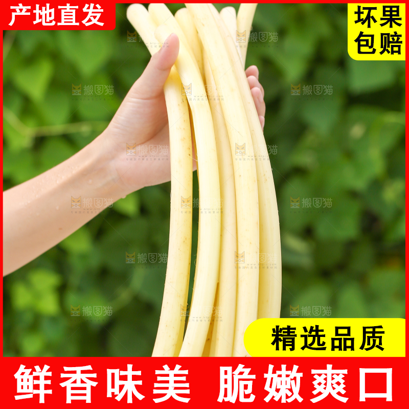手里拿着藕带