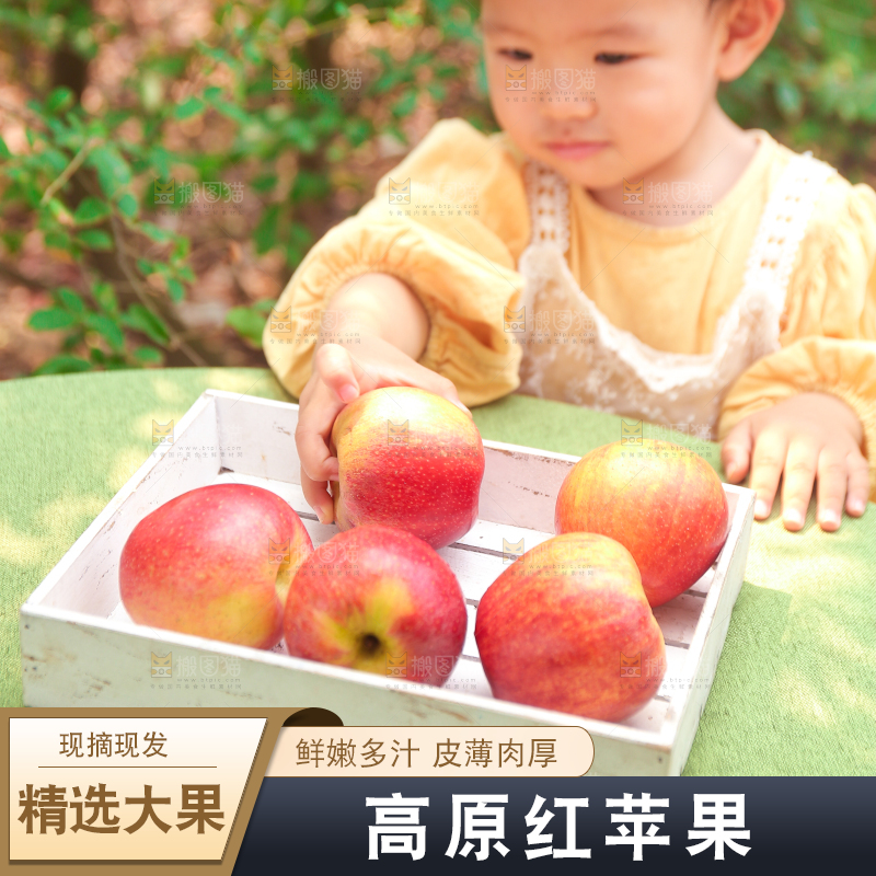 手里拿着高原红苹果