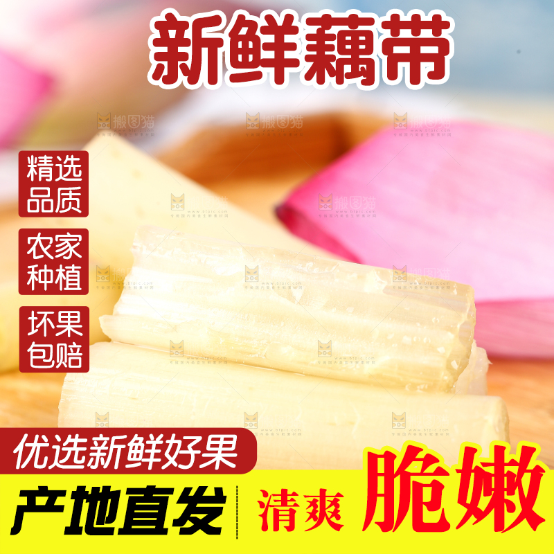 浅底上的藕带