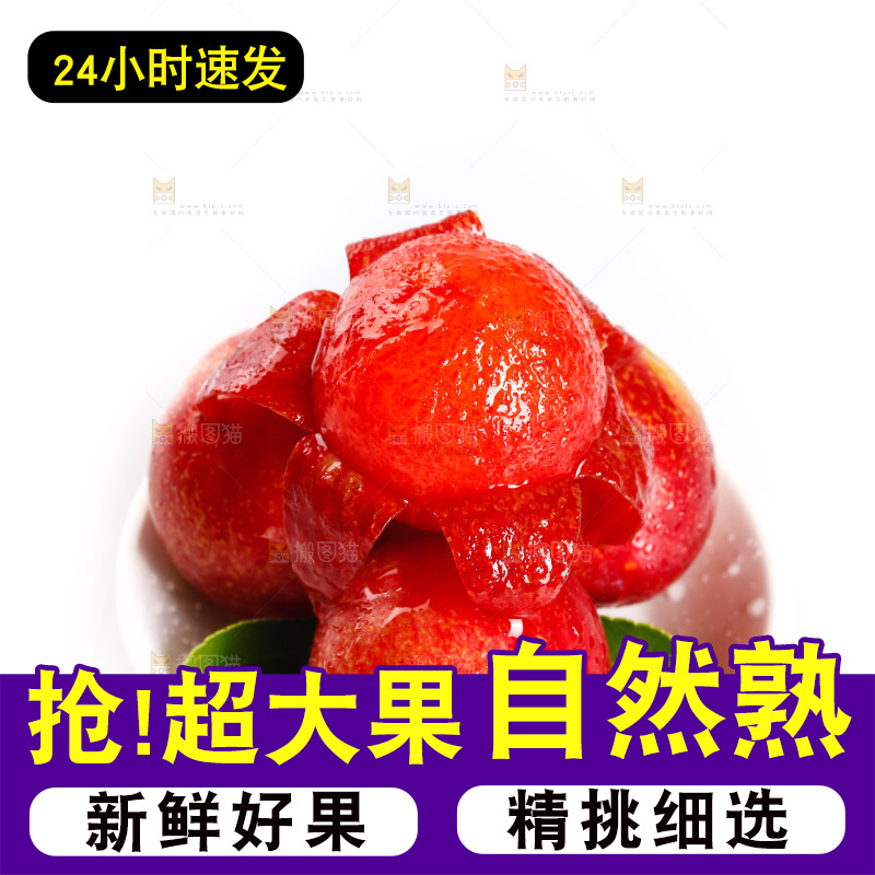 白底上的樱桃李