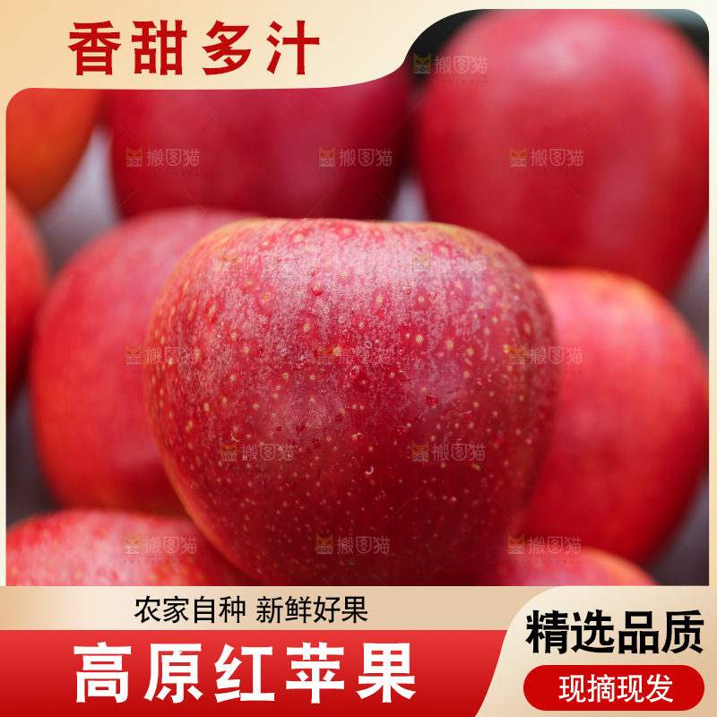 手里拿着高原红苹果