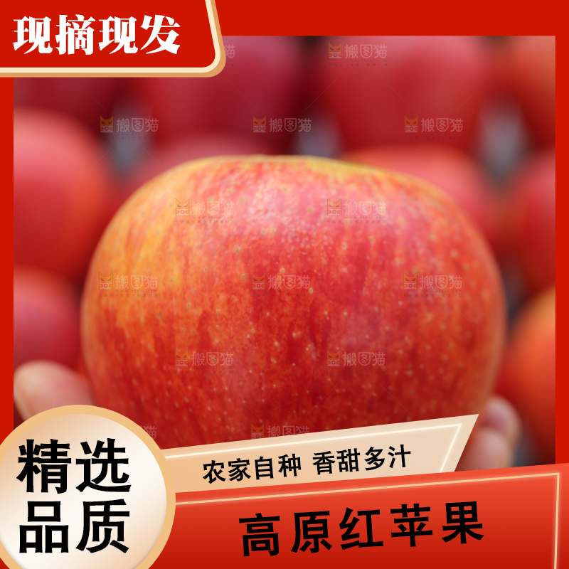手里拿着高原红苹果