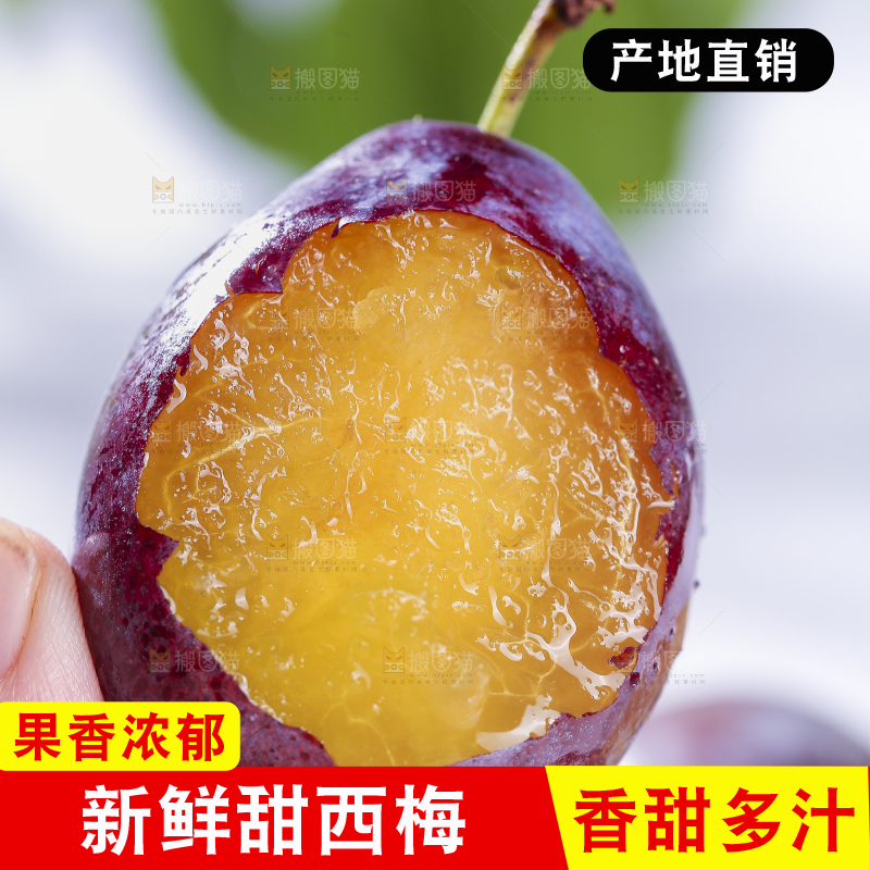 浅底上的西梅