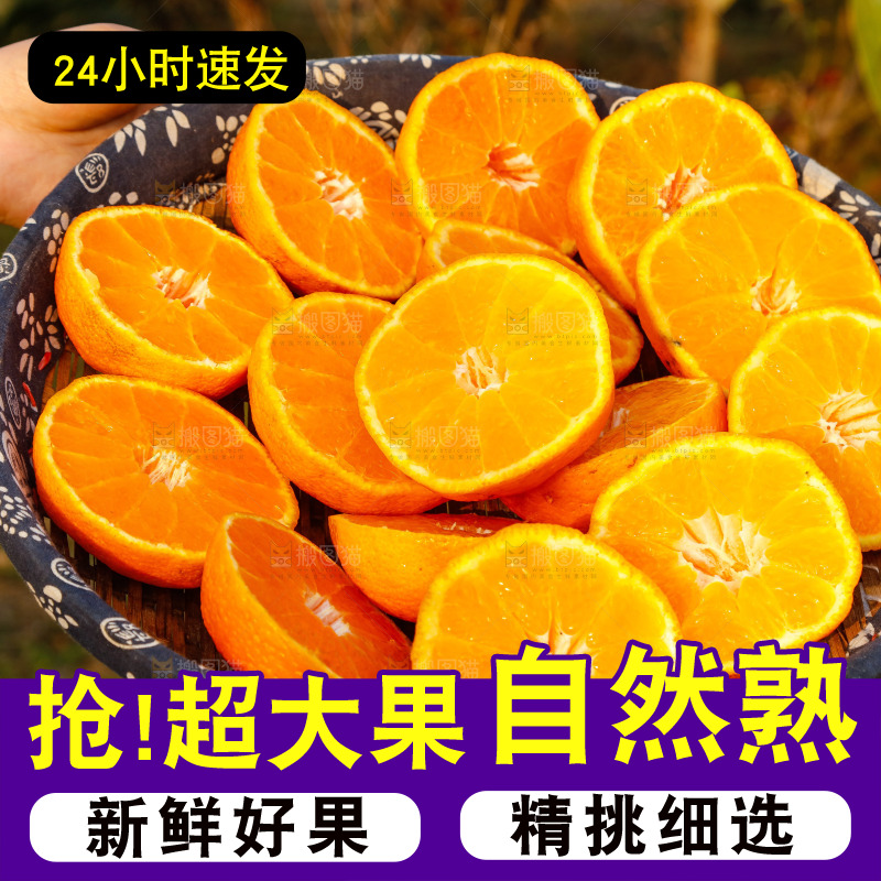 草地上的耙耙柑