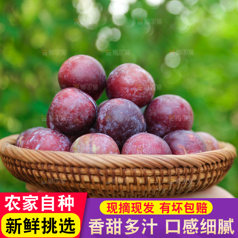 木底上放着红脱骨李