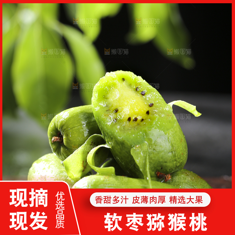 深底上的软枣猕猴桃