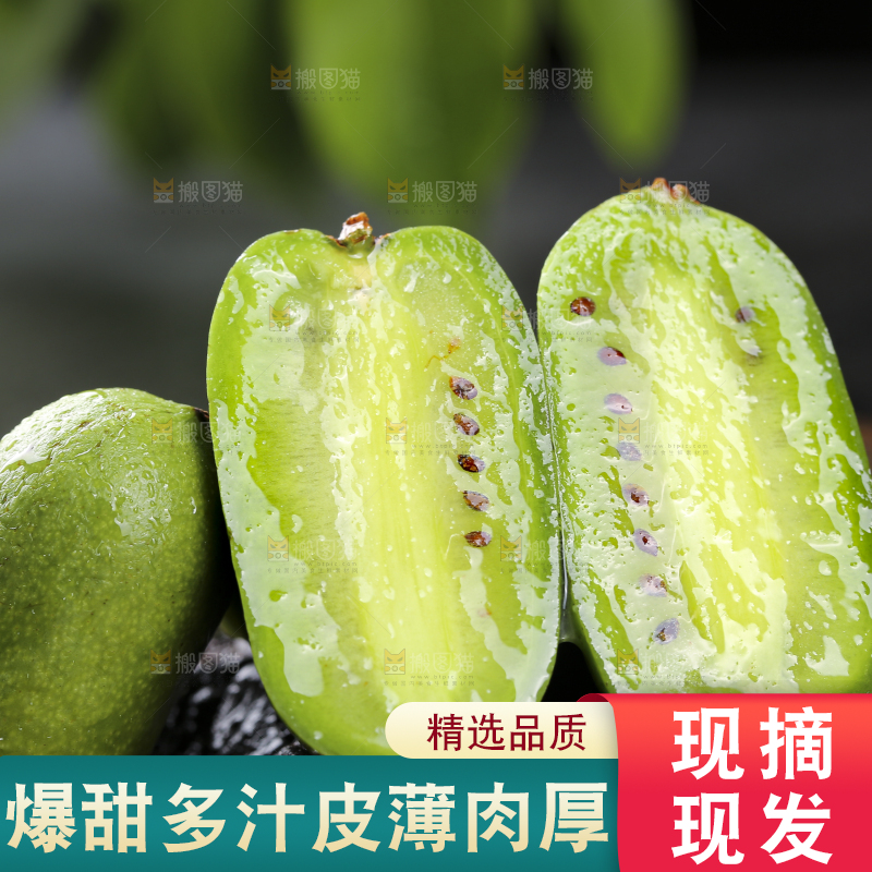 深底上的软枣猕猴桃
