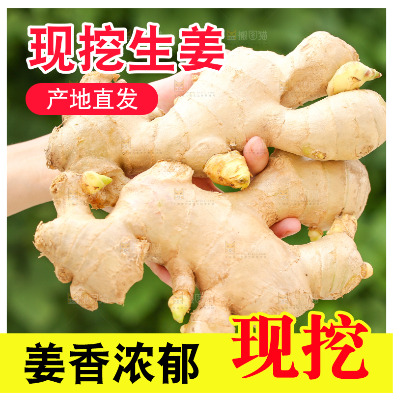 手里拿着生姜