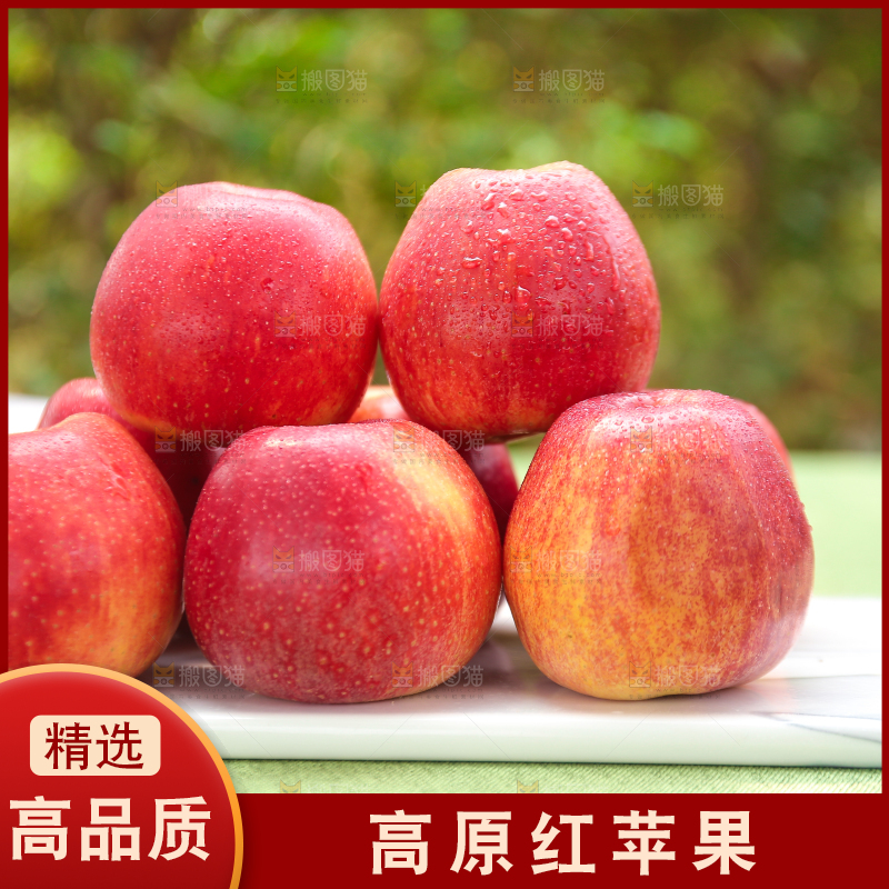 手里拿着高原红苹果