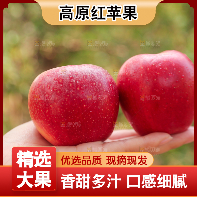 手里拿着高原红苹果