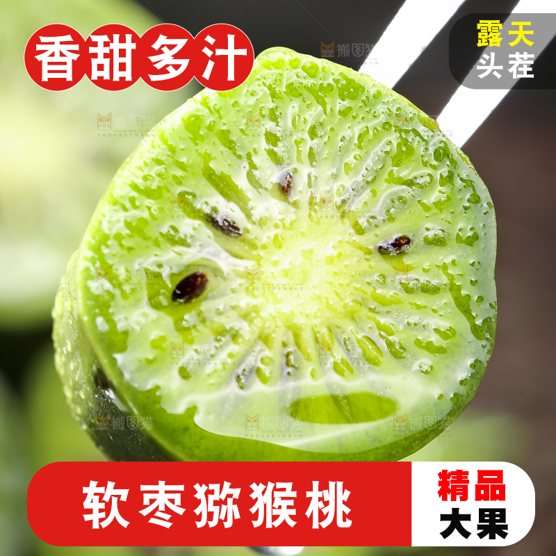 深底上的软枣猕猴桃