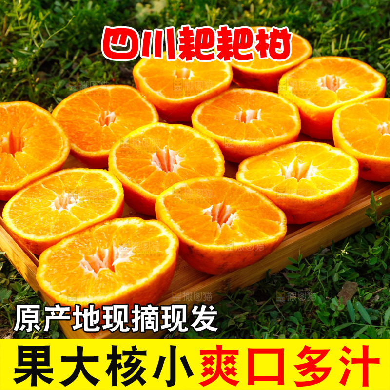 草地上的耙耙柑