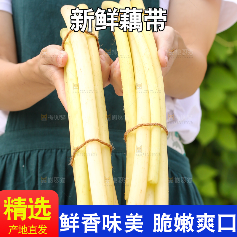 手里拿着藕带